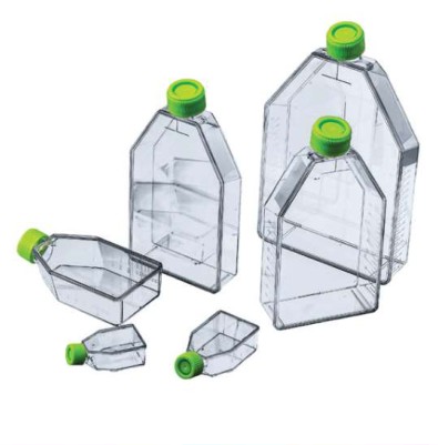 VWR Tissue Culture Flasks