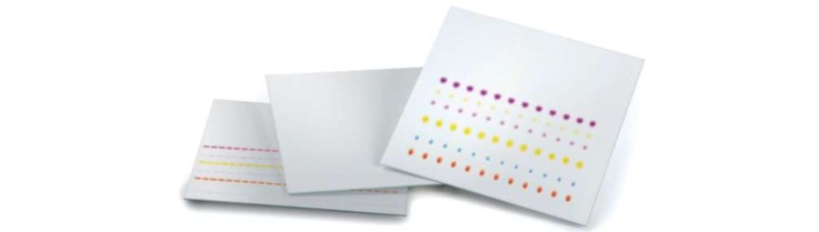 VWR TLC Plates
